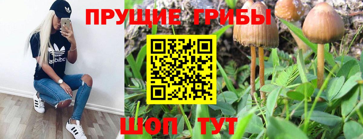Белая Калитва  Псилоцибиновые грибы прущие грибы  Псилоцибиновые грибы мицелий  Вход с VPN 